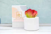 Increase Customer Acquisition with Corporate Gifting