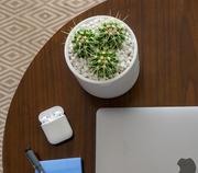 How Employee Gifts Create Growth From Within