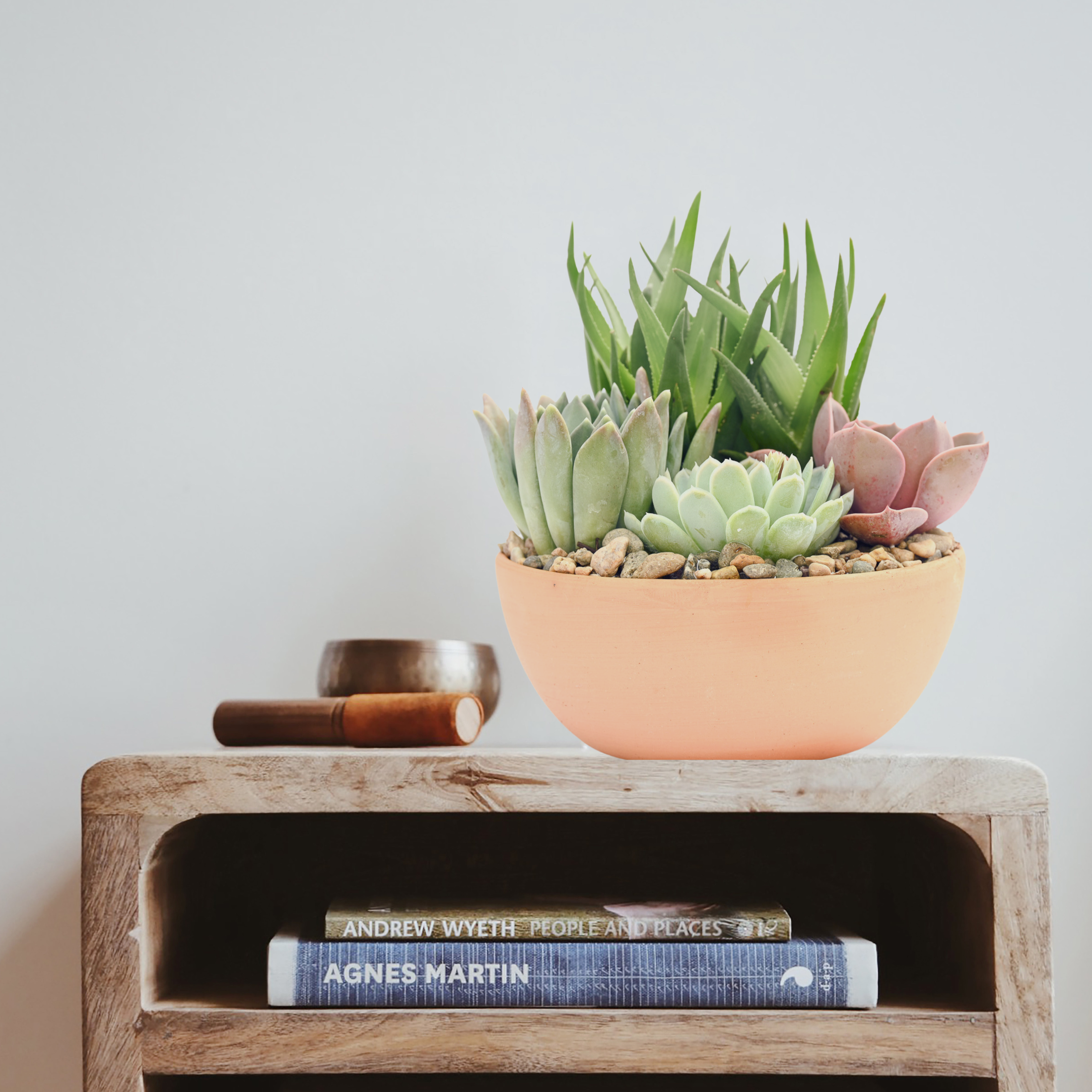 Congratulations Terracotta Succulent Garden