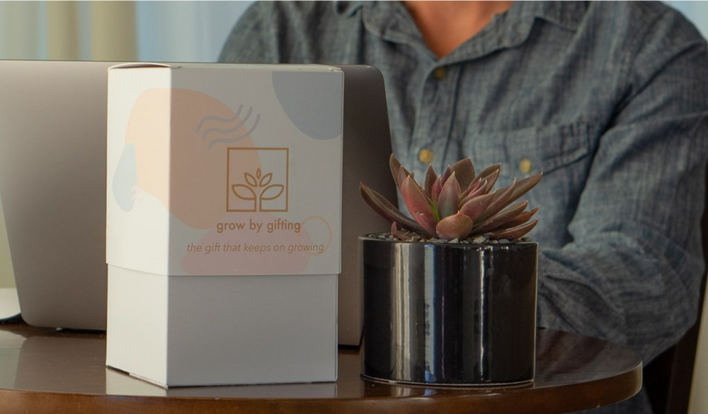 Thank You Succulent Gift