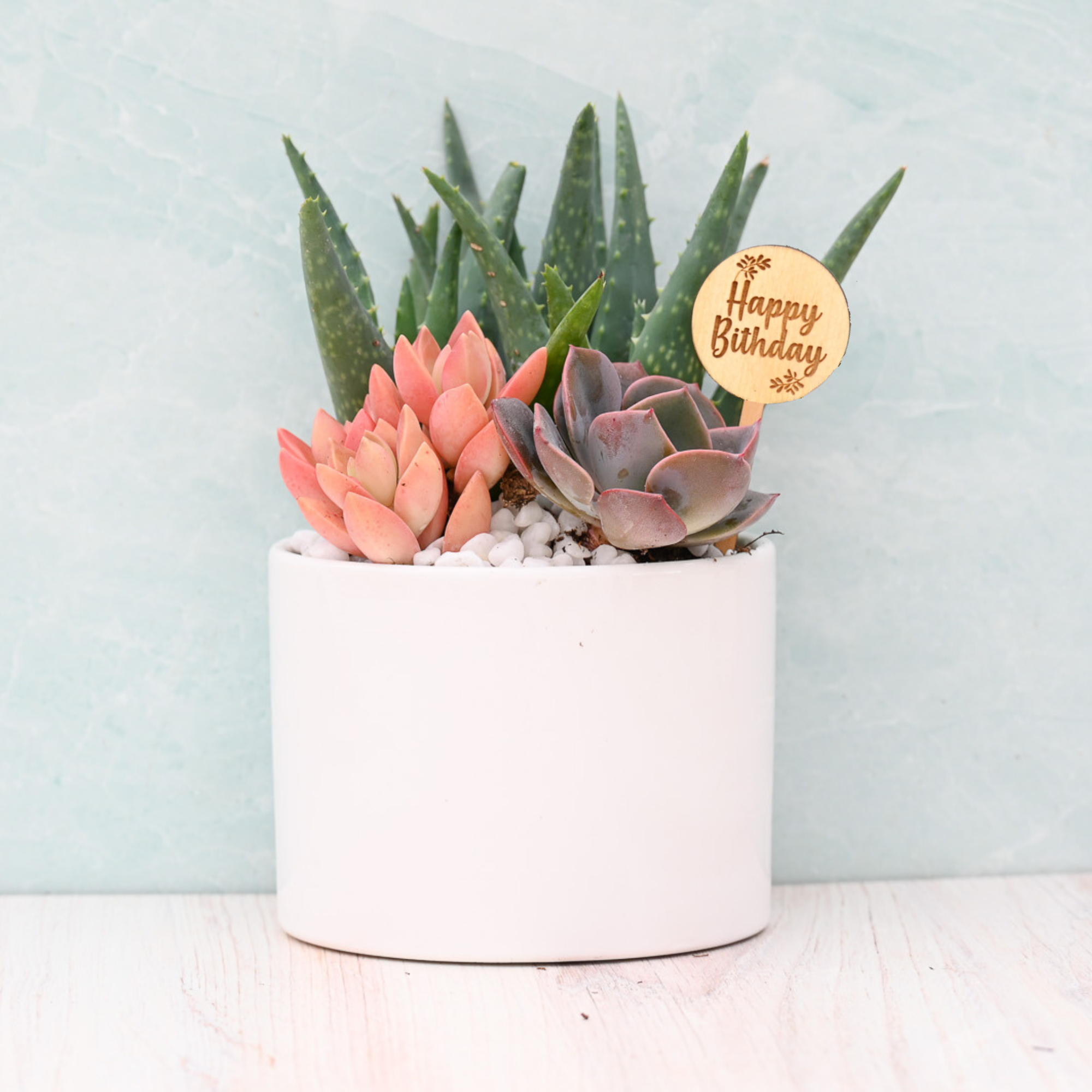 succulents for birthday Happy Birthday Succulent Garden