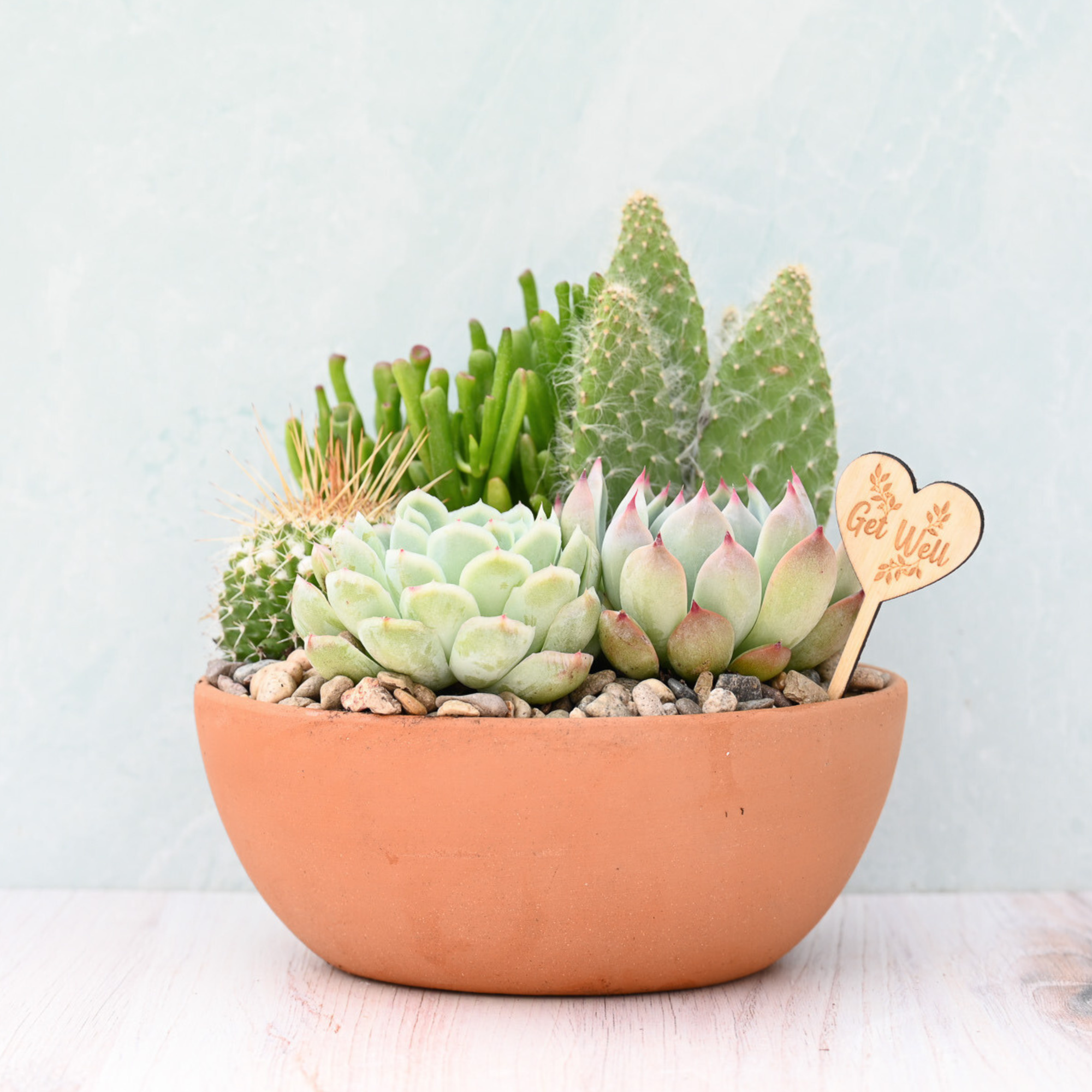Get Well Soon Terracotta Succulent Garden