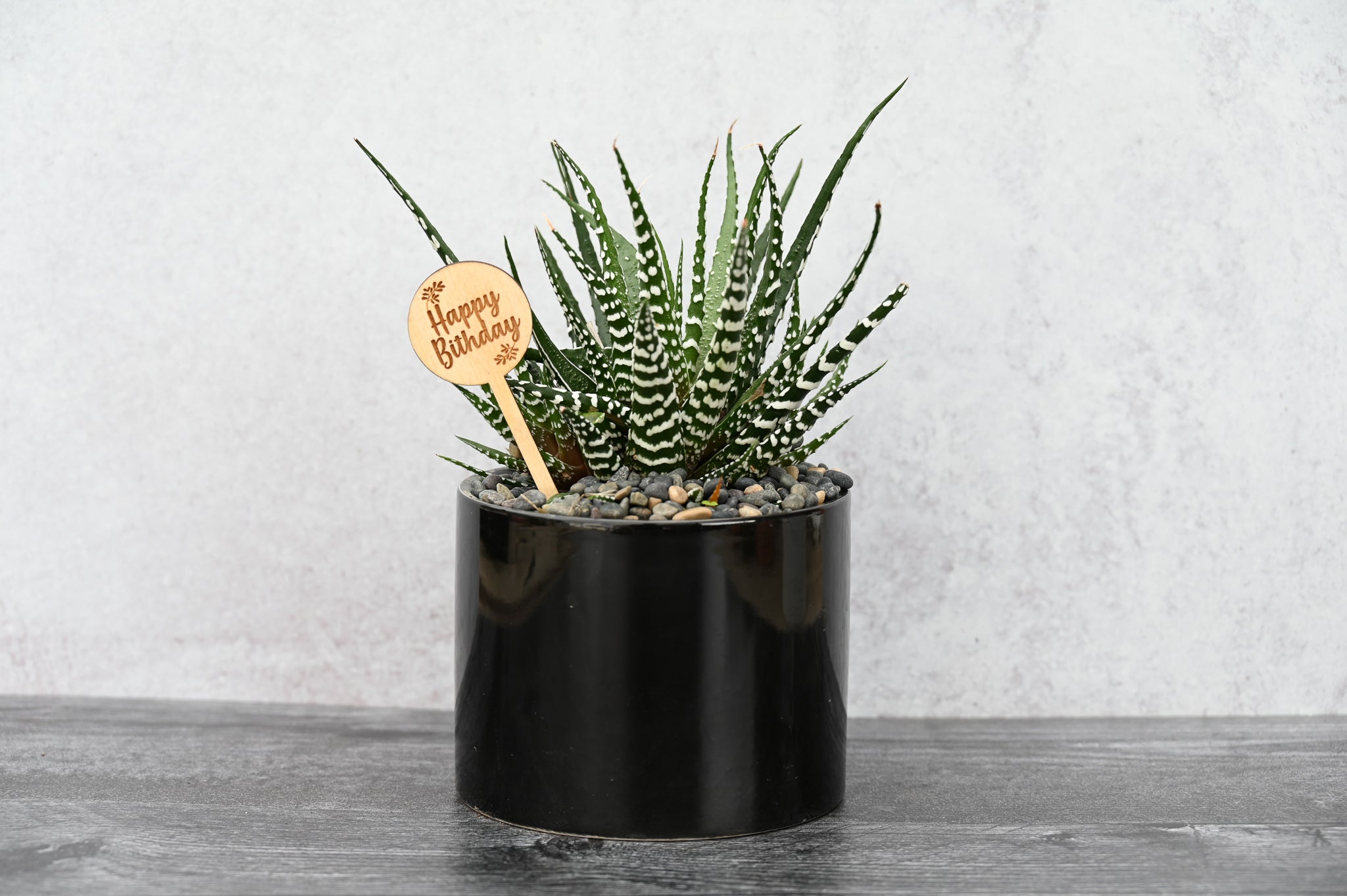 Happy Birthday Succulent Gift – Grow by Gifting