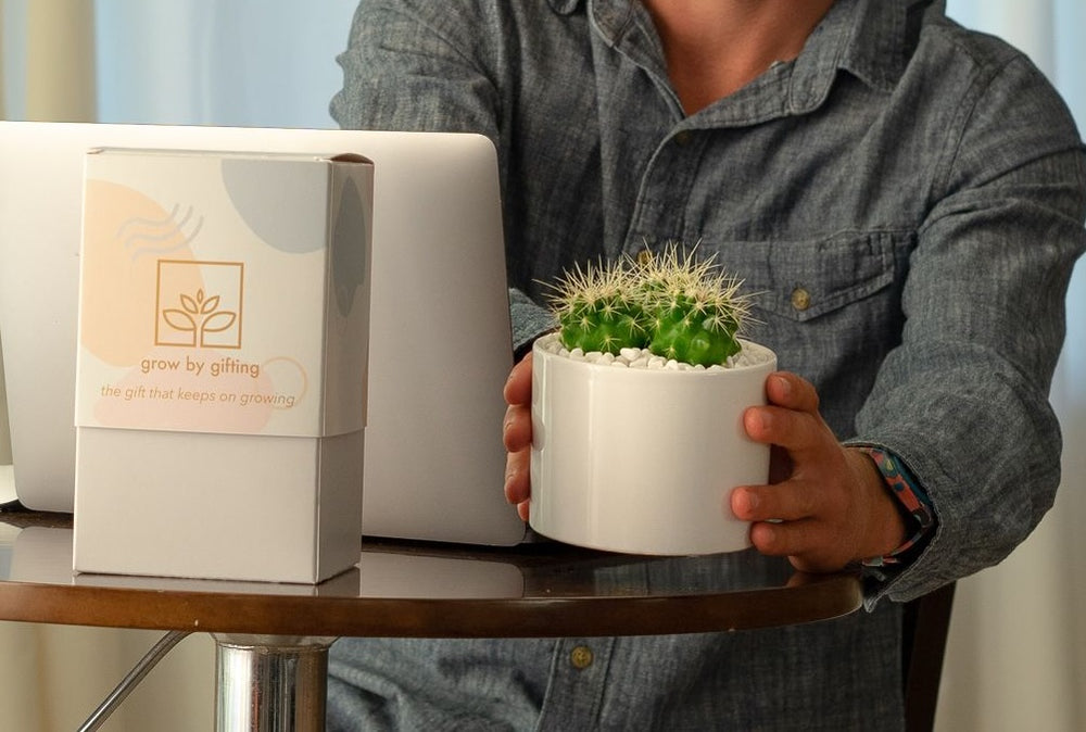 Thank You Succulent Gift