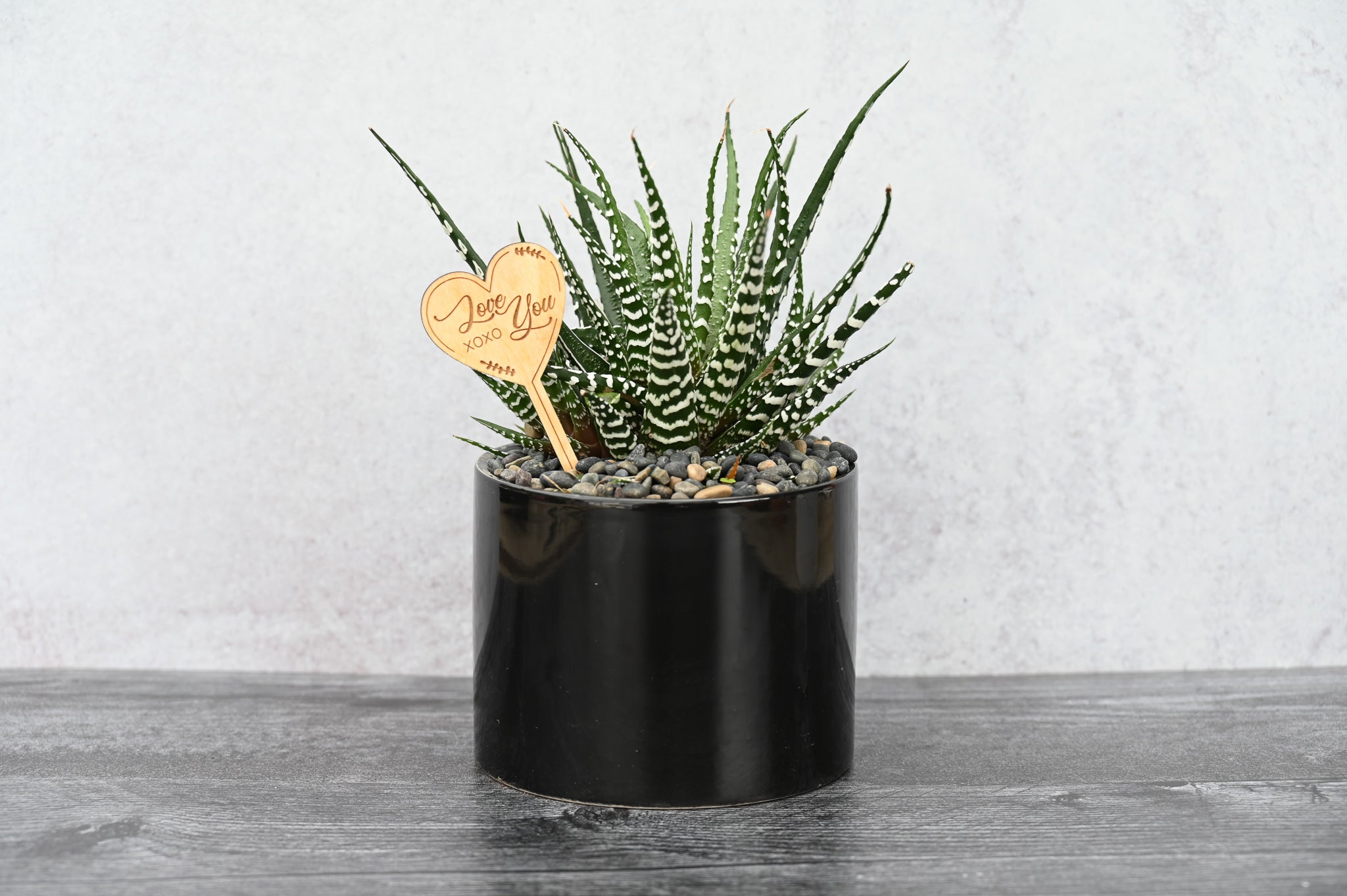 Love & Romance Succulent Gift