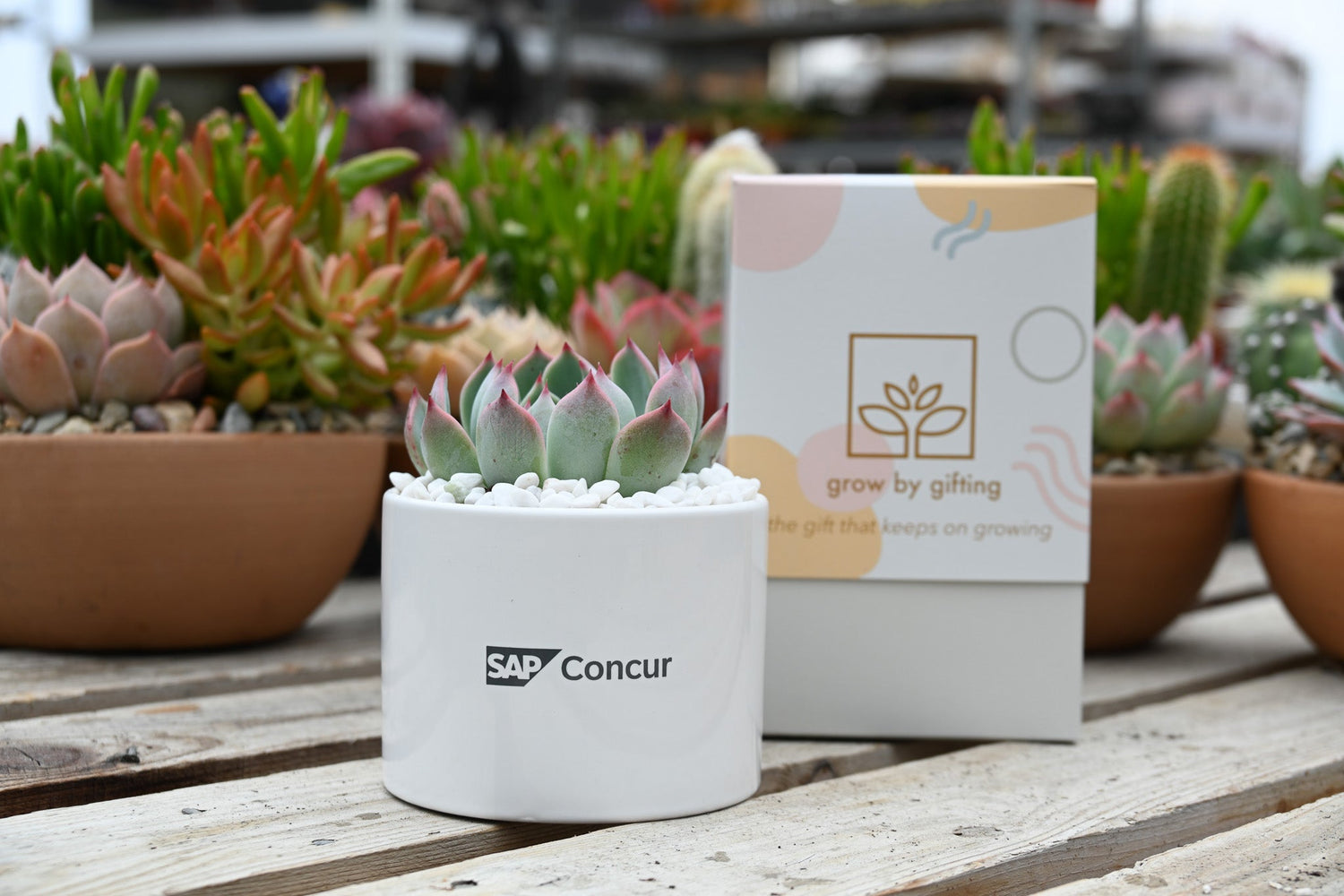 Custom Branded Company Gifts: Elevate Your Corporate Image with Personalization
