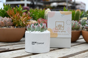 Custom Branded Company Gifts: Elevate Your Corporate Image with Personalization
