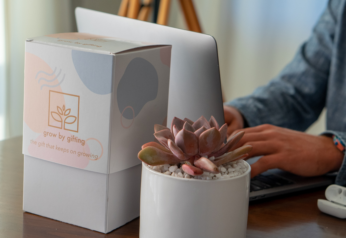 Grow By Gifting | Unique Succulent Gifts for Corporate and Employees  – Grow by Gifting
