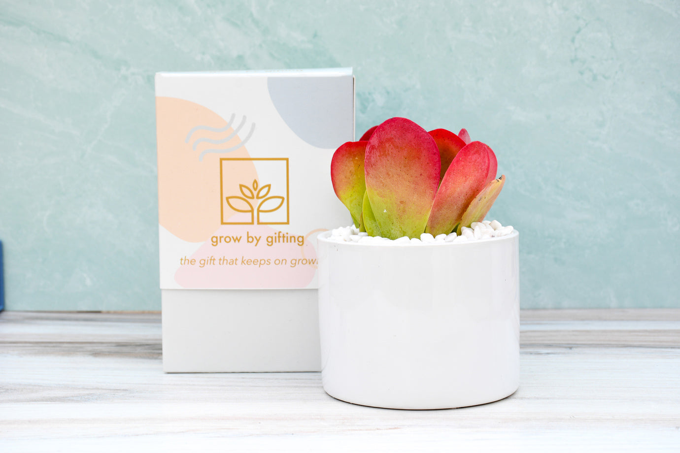Increase Customer Acquisition with Corporate Gifting