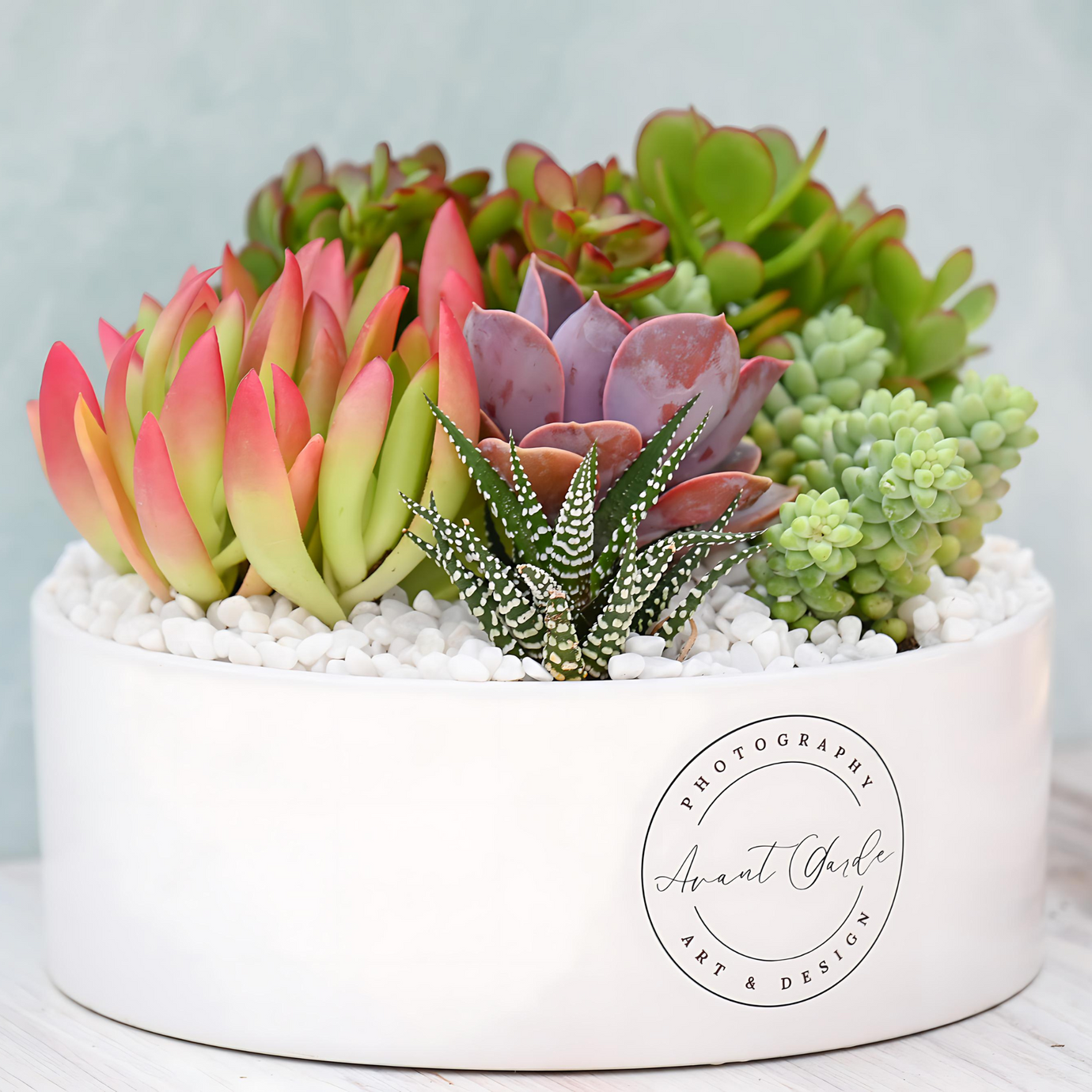 Custom Branded Succulent GIfts