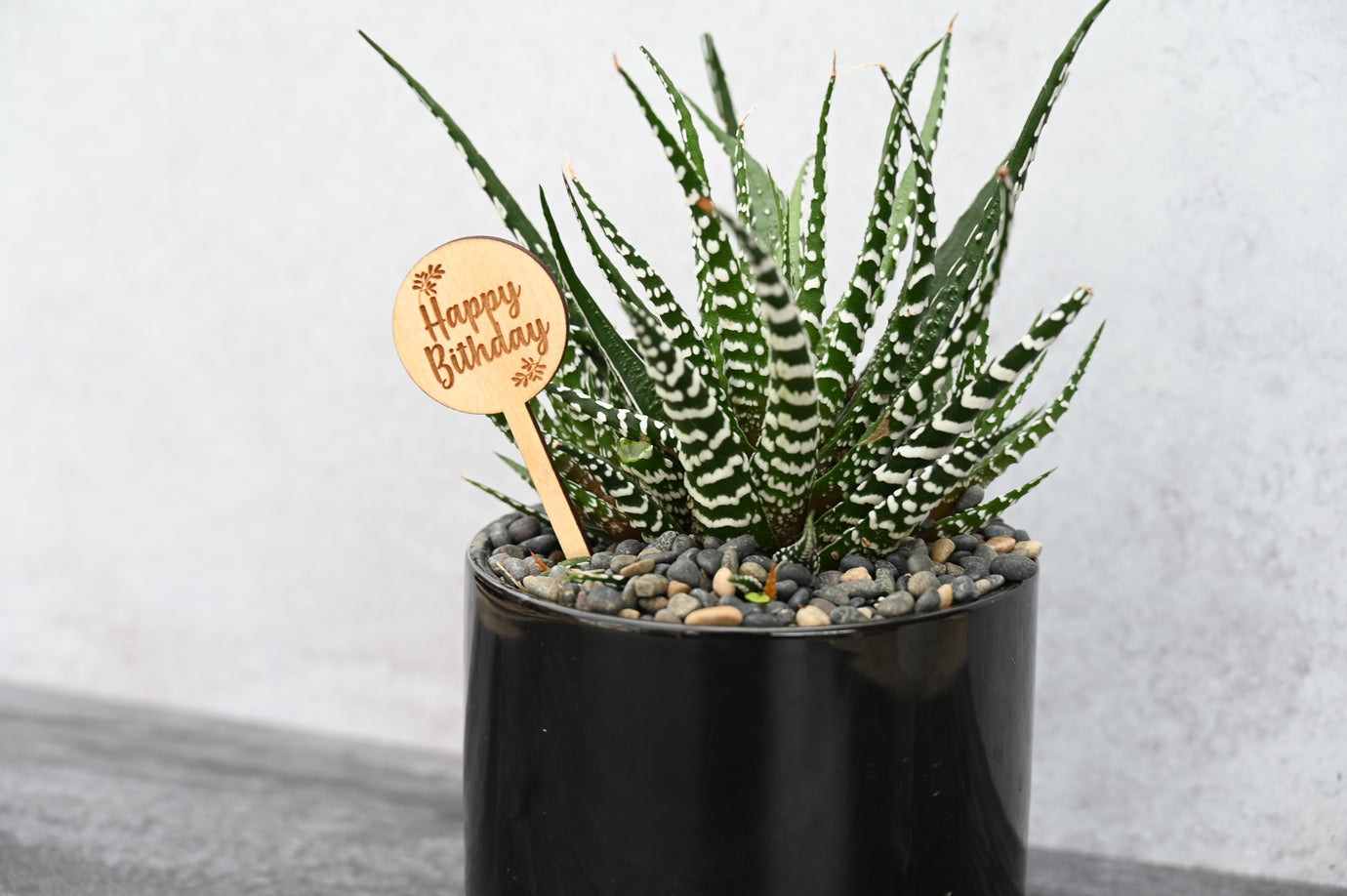 Grow by Gifting | Themed Gifts