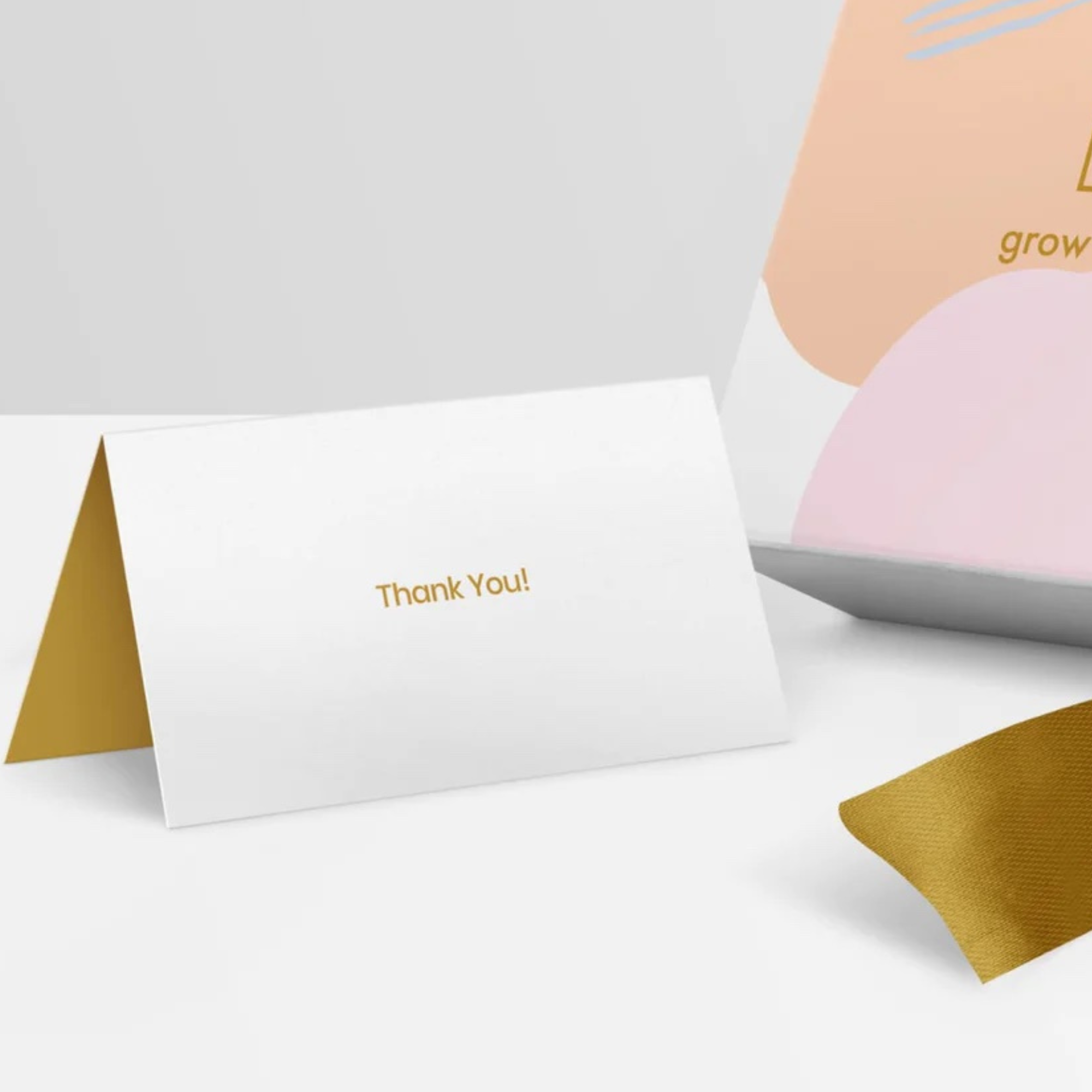 congratulations succulents Congratulations Succulent Garden – Grow by Gifting